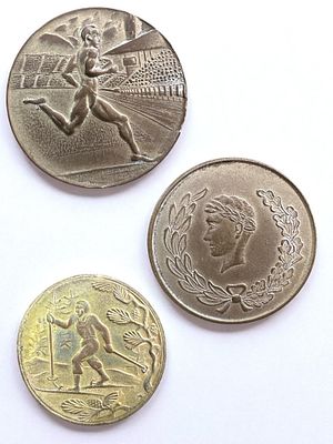 3 מדליות ספורט, תנועת מכבי שנות ה60.