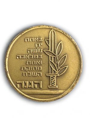 מדליית פלמ"ח והגנה, ככל הנראה הנפקה פרטית. קוטר: 4.7 ס"מ.
