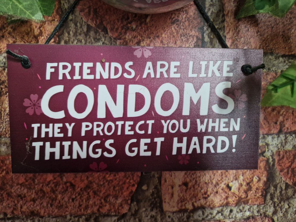 Lot 200: Funny saying wooden sign