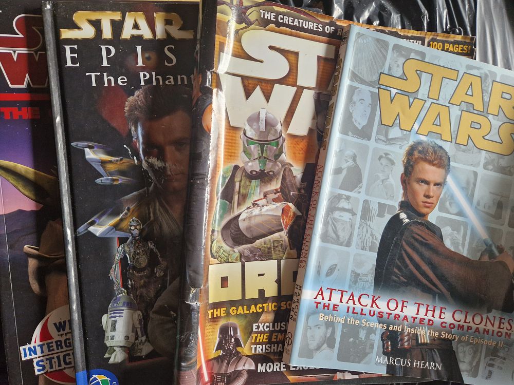Lot 265: Joblot of star wars books