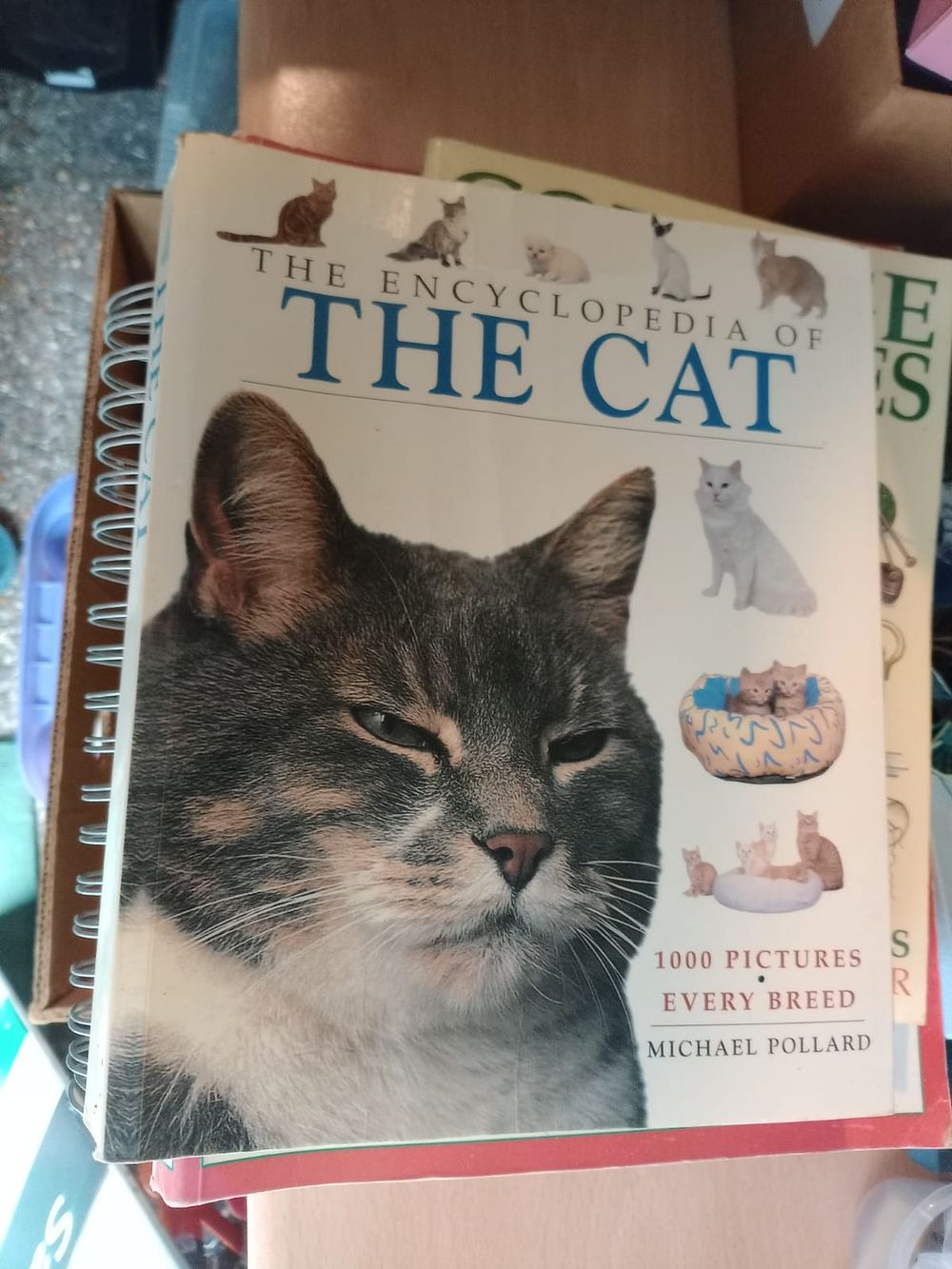 Lot 155: Encyclopaedia of the cat