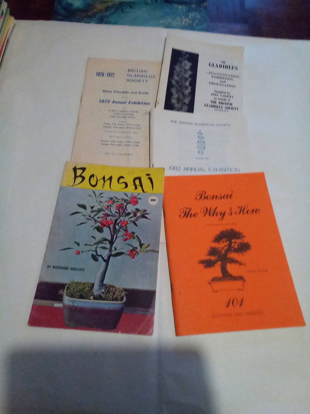 Lot 288: Armagh fair