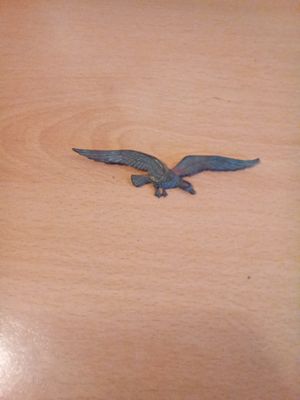 East Sussex. Bird in flight