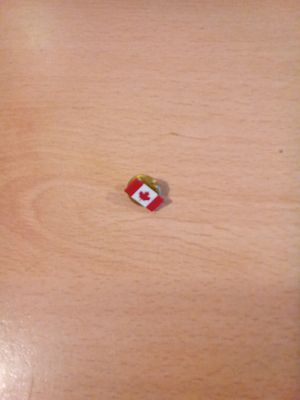 East Sussex. Vintage canadian badge.