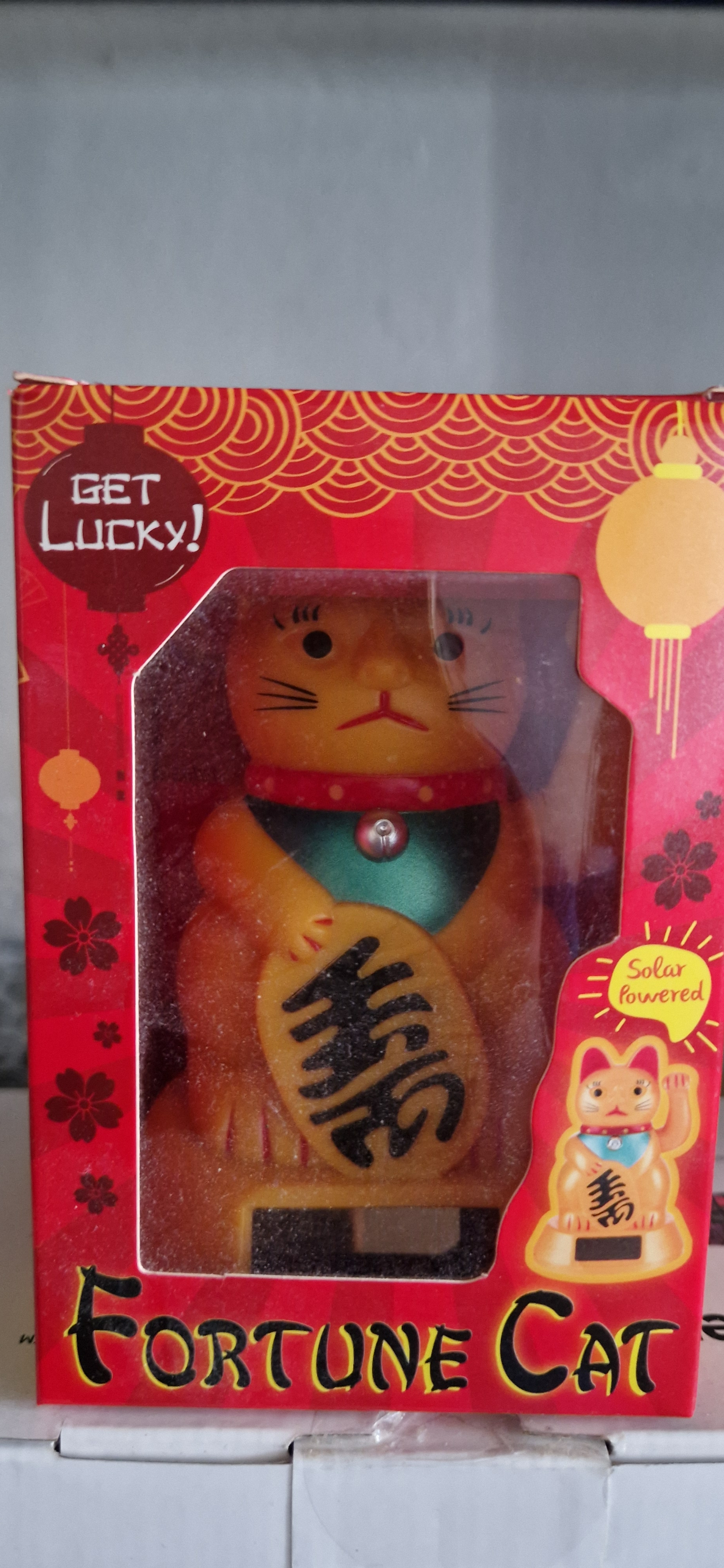 Fortune cat