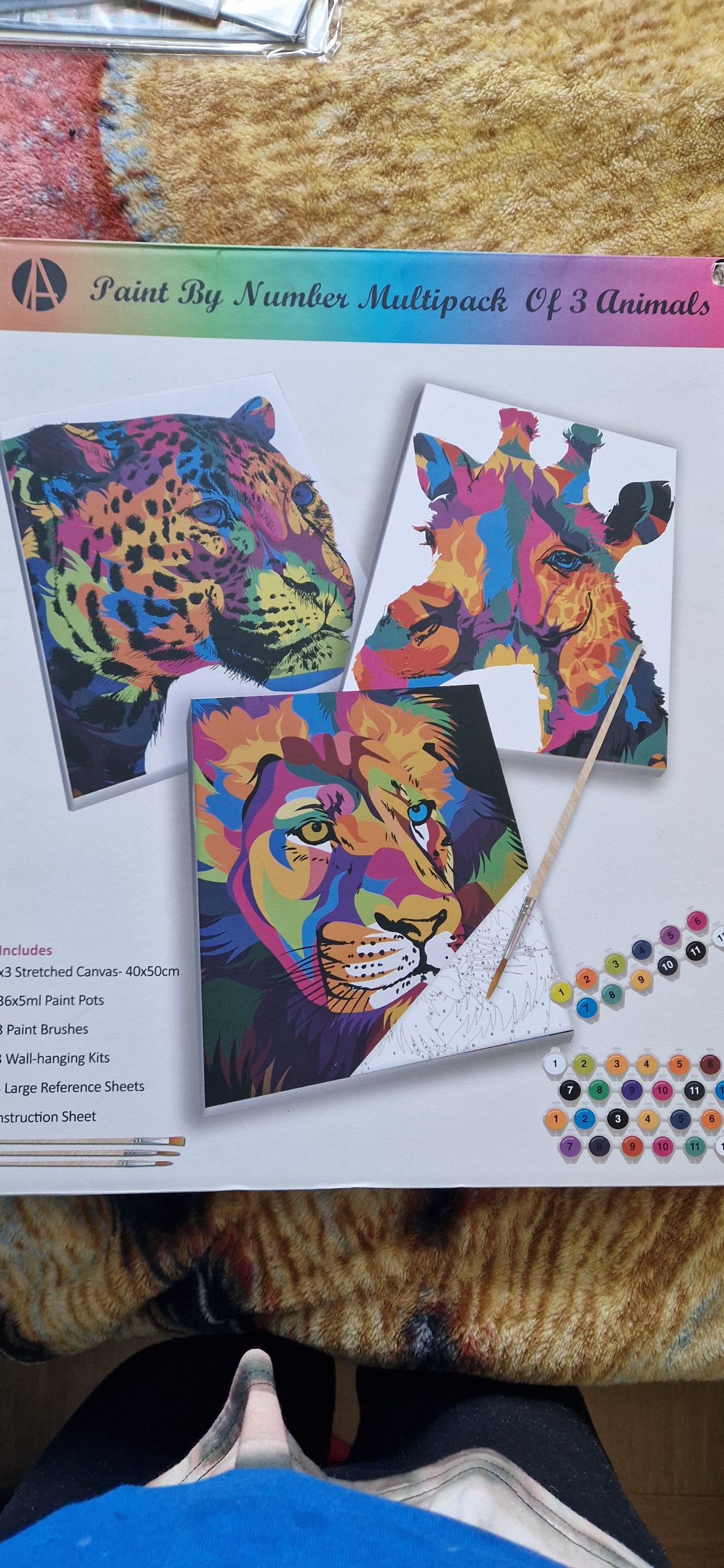 Paint by numbers set