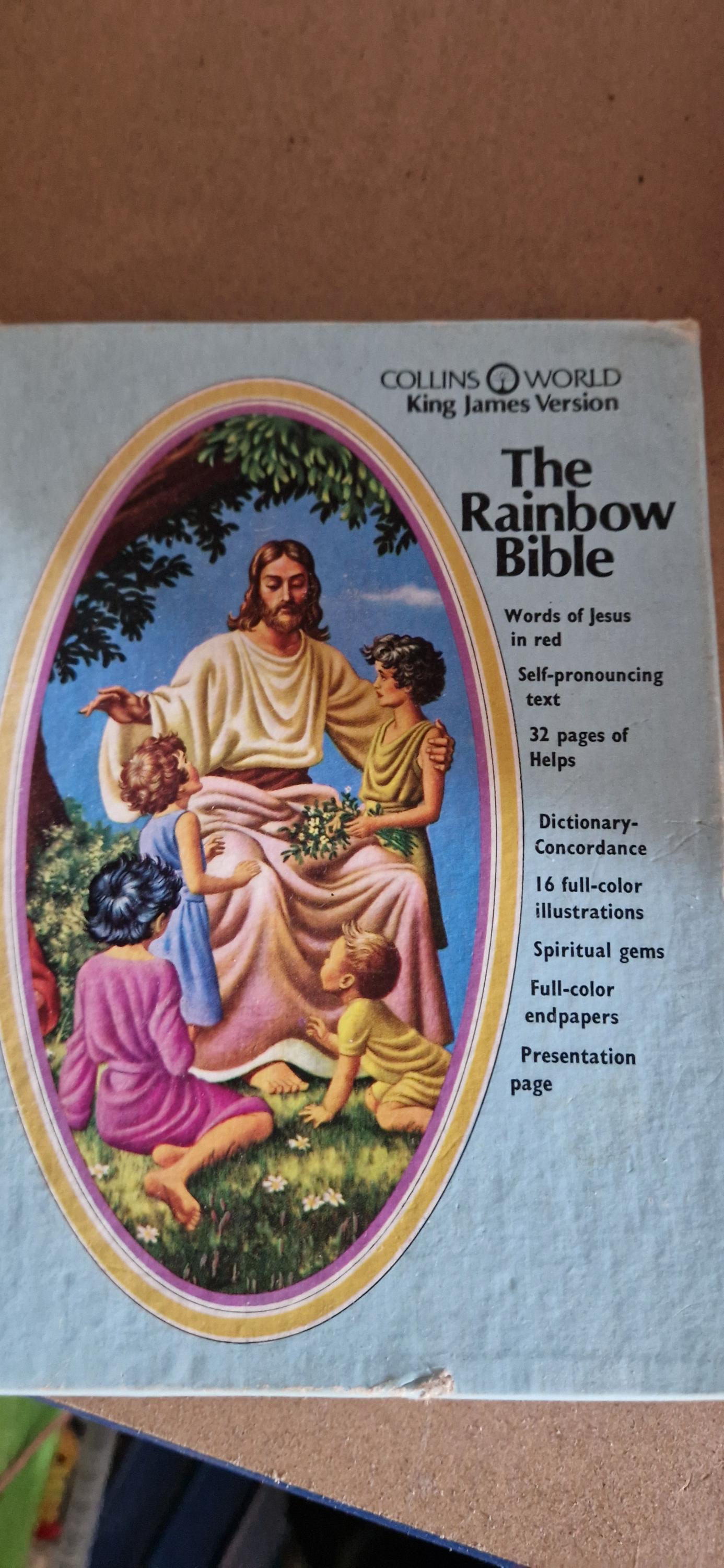 Rain bow bible