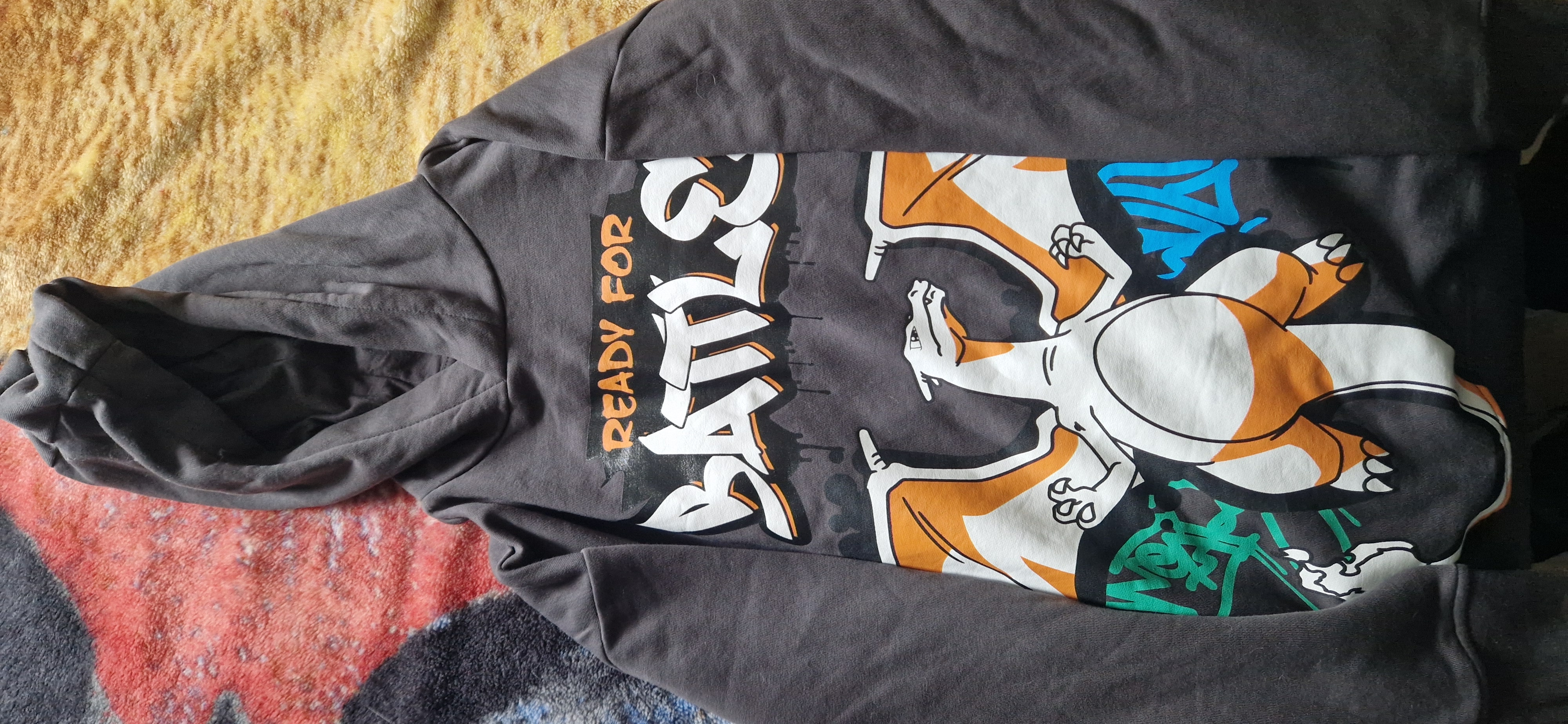 Pokémon jumper/hoddie