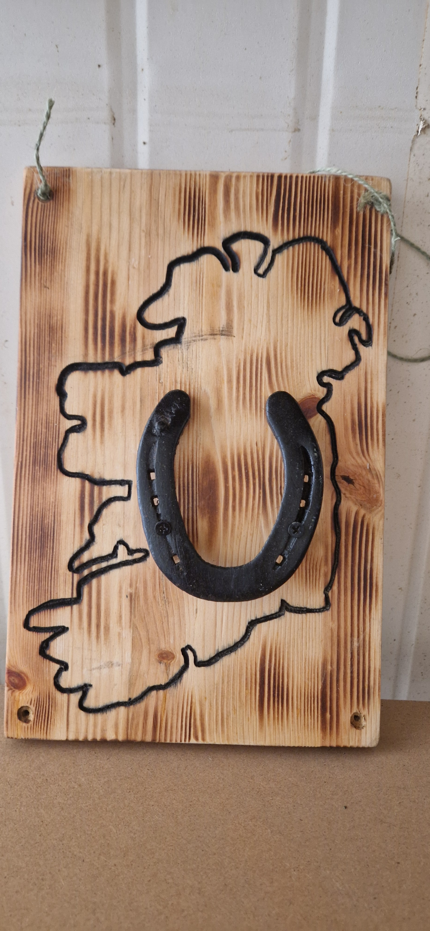Lucky horse shoe