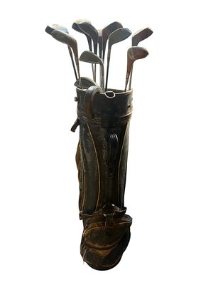 Set di mazze da golf d'epoca con sacca e ferri Walter Hagen. Una collezione di mazze da golf 