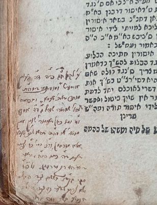 הערות כתב יד מרב לא נודע שמו על ספר פרי מגדים על יורה דעה פרנקפורט דאדר תקס"א מהדורה שלישית מצב 