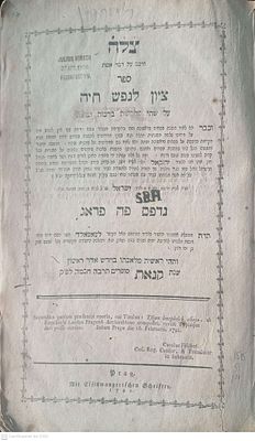עותק מיוחס- של הרש"ר הירש! ציון לנפש חיה - צל"ח על מסכת ברכות- מהדורה ראשונה פראג תקנ"א - 1791 . 