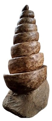 Imponente Fossile Conico a Torre (Gasteropode) – Esemplare Museale da Collezione. Eccezionale 