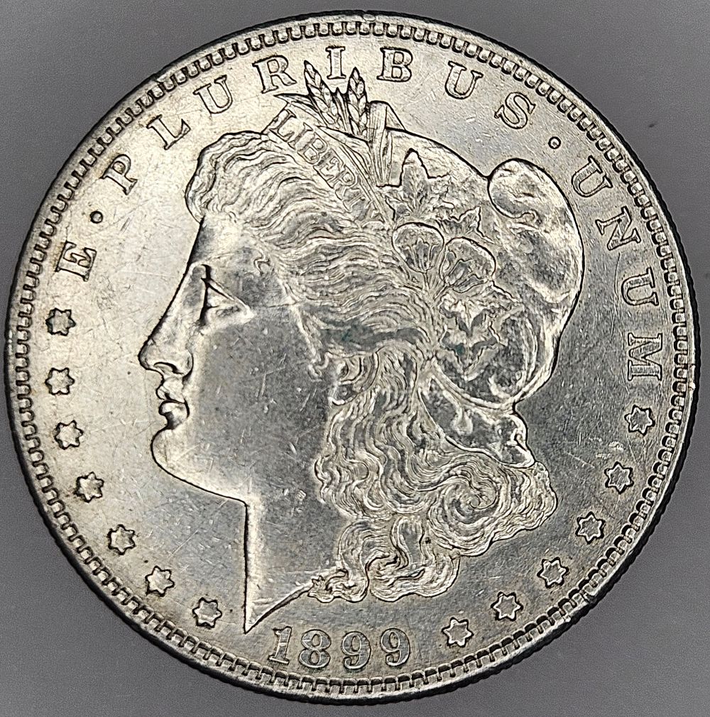 Lot 295: 1899 S Morgan Dollar Silver Coin