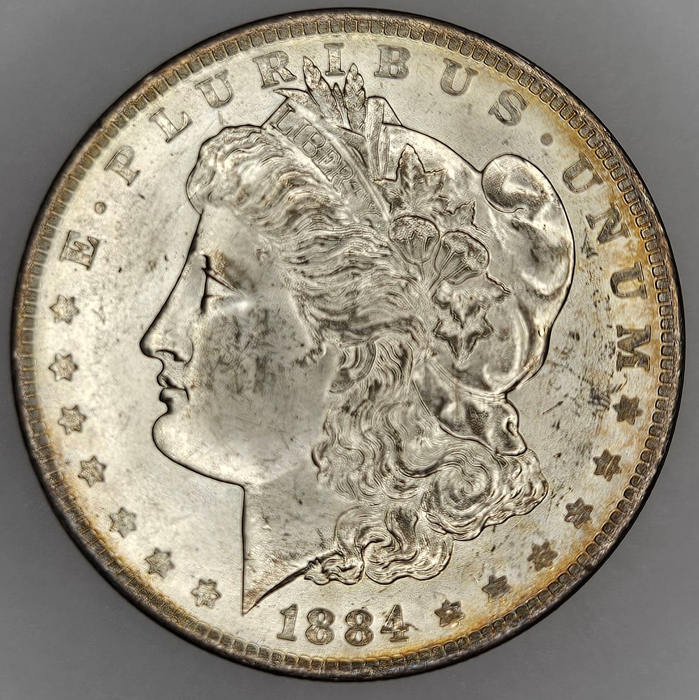 Lot 300: 1884 O New Orleans Silver Morgan Dollar
