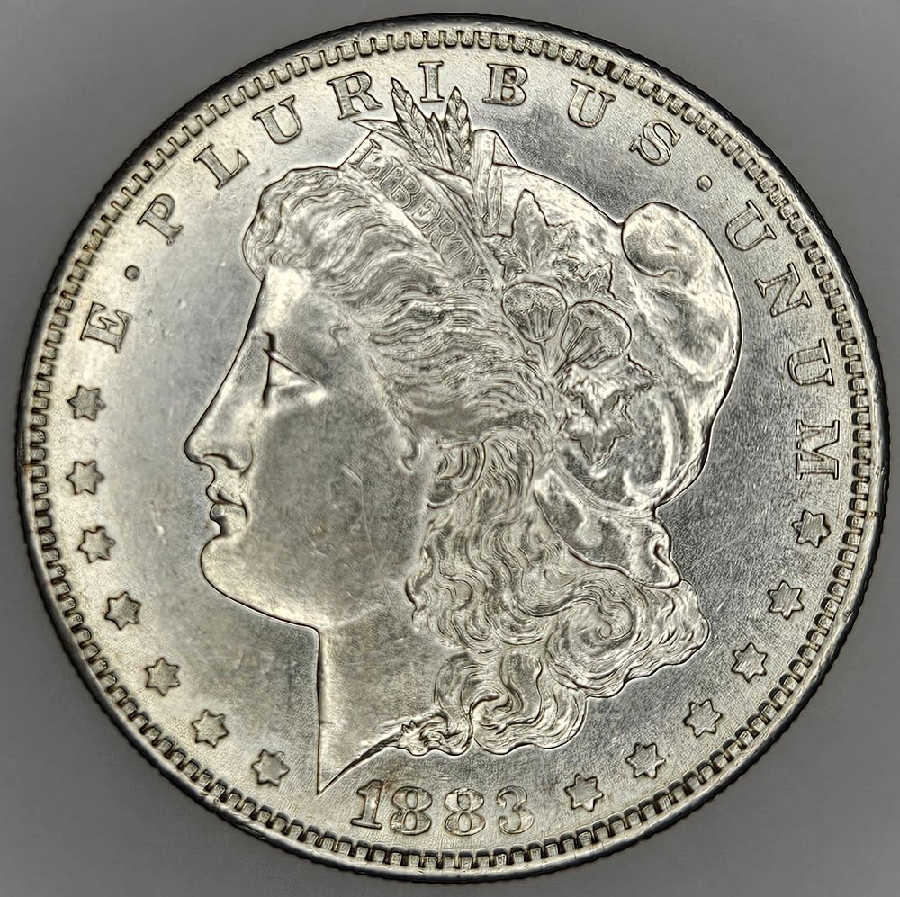 Lot 301: 1883 S San Francisco Morgan Dollar