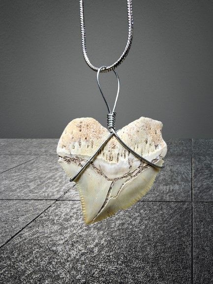 Squalicorax-Crow shark fossil pendant + necklace. An item millions of years old - original.