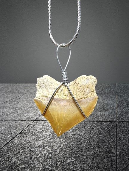 Squalicorax-Crow shark fossil pendant + necklace. An item millions of years old - original.