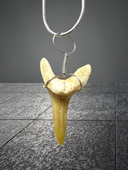 Sand tiger sharks fossil shark tooth pendant + necklace. An item millions of years old -
