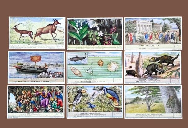 LIEBIG card collection - rare and sought after. The trade cards of the Liebig collection 
An 