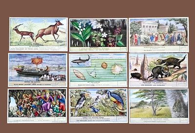 LIEBIG card collection - rare and sought after. The trade cards of the Liebig collection 
An 