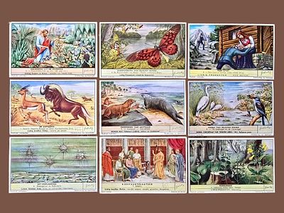 LIEBIG card collection - rare and sought after. The trade cards of the Liebig collection 
An 