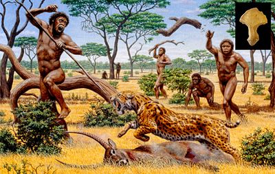 Arrowheads probably from the Stone Age are made of flint - Paleolithic age - A museum quality item.