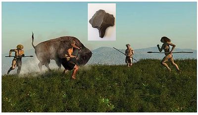 Arrowheads probably from the Stone Age are made of flint - Paleolithic age - A museum quality item.