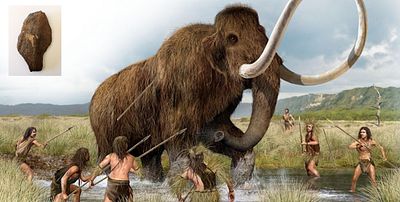 Arrowheads probably from the Stone Age are made of flint - Paleolithic age - A museum quality item.