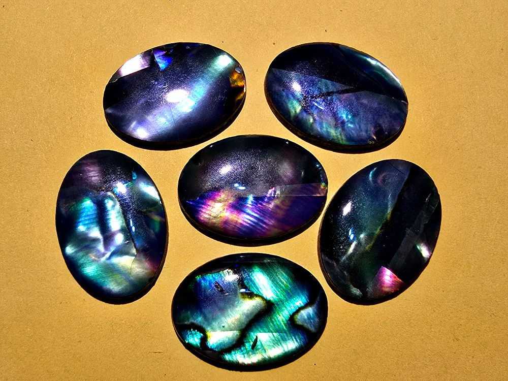 A collection of Abalone Shell Cabochons, known for their iridescent appearance that combines 