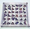 A large collection of fossilized shark teeth arranged in a clear display box. The collection is Image - 2