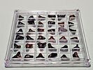 A large collection of fossilized shark teeth arranged in a clear display box. The collection is Image - 4