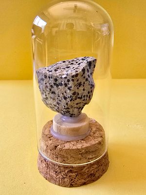 Original, unprocessed Dalmatian Jasper gemstone in a glass capsule. The capsule is 8 cm high. 