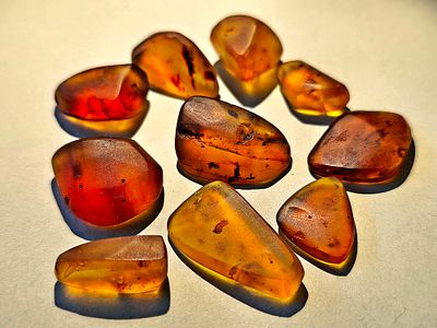 Collection of 10 original amber fossils with insects/mosquitoes/crustaceans inside them - an 