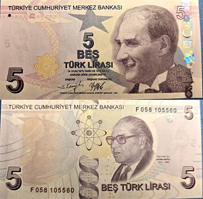 This is a 5 Turkish Lira (T&uuml;rk Lirası) banknote from the E-9 series. The banknote features the 