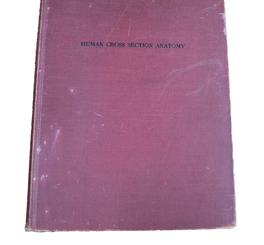Lot 190: Human Cross Section Anatomy
