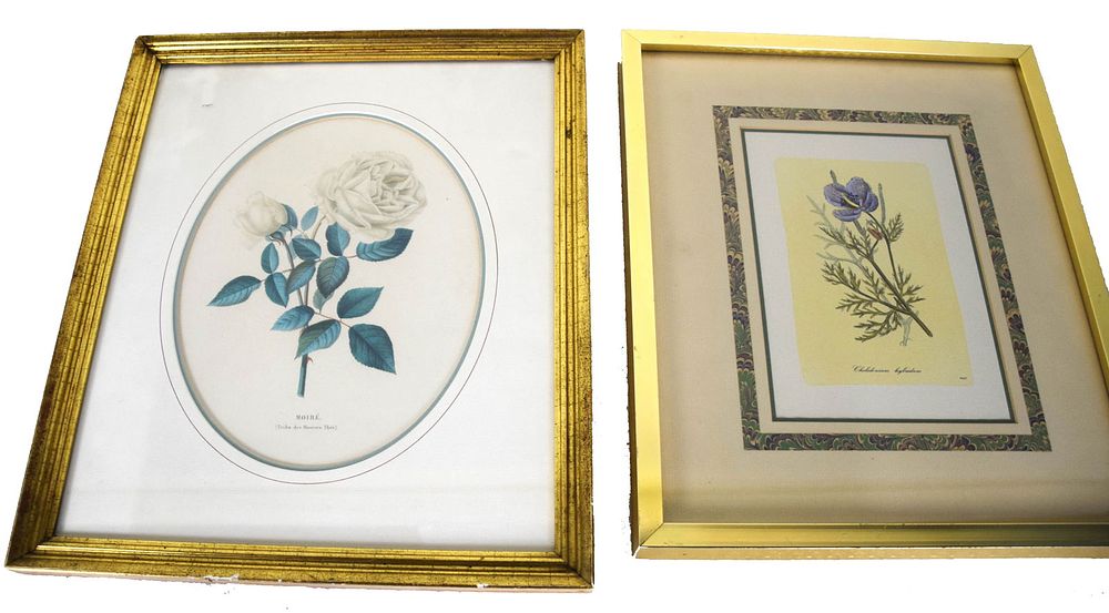 Lot 265: Five Botanical Prints