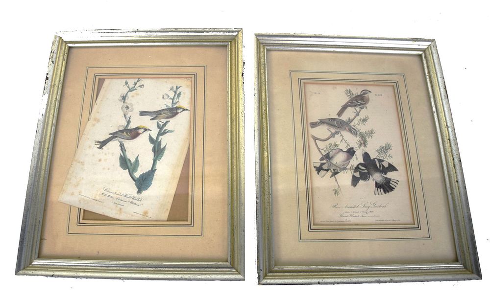 Lot 266: Two Audubon Prints