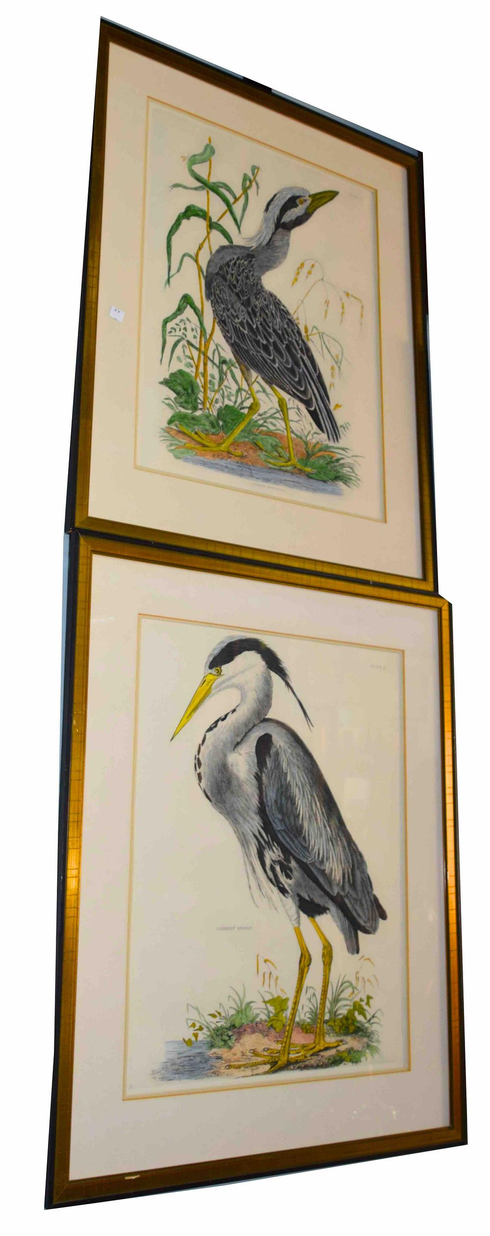 Lot 167: Two Audubon/Selby Lithographs