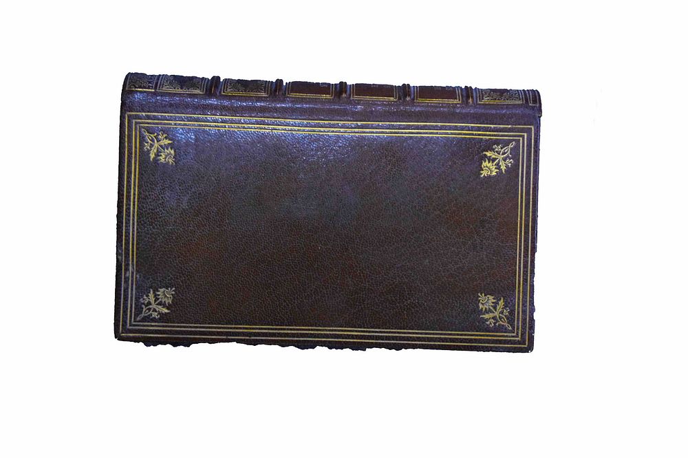 Lot 191: The Comforts of Human Life, The Accidents of Human Life, Metropolitan Grievances