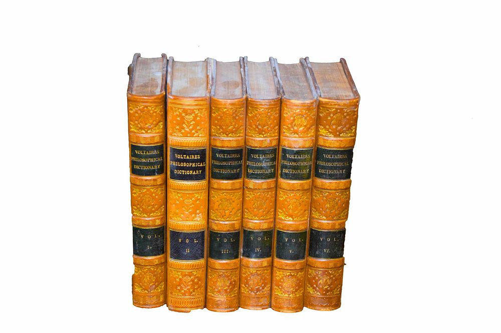 Lot 201: A Philosophical Dictionary
