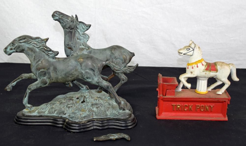 Lot 300: Pony Lot