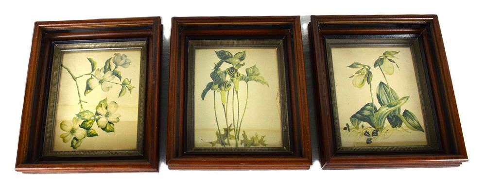 Lot 149: Three Framed Flower Prints