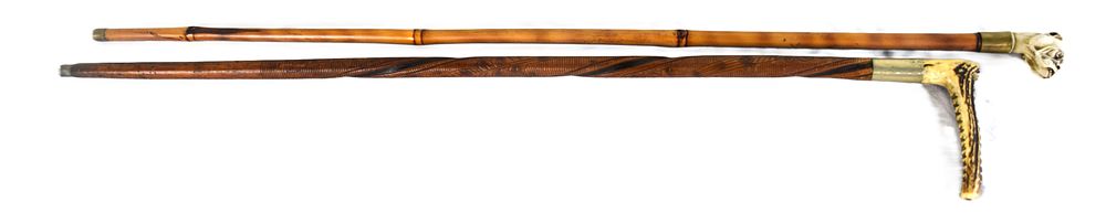 Lot 135A: Two Carved Canes