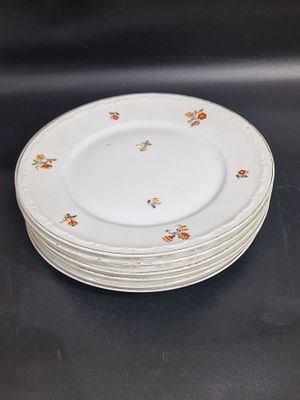 סט 6 צלחות וינטג', מבית היצרן הגרמני "Hertel-Jacob, Rehau, Bavaria", הכוללות דוגמת פרחים עדינה 