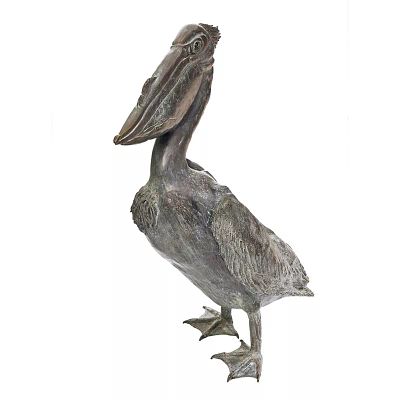 פסל ברונזה מרהיב של שקנאי (Pelican) מאת האמן נדב אלחלל. 
מפרט טכני ומידות:
אמן: נדב אלחלל 