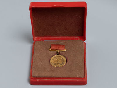 Пловчиха Забродина Т.М. Чемпион СССР по плаванию. Золотая медаль. 1965 г. В родной коробке. Диаме 