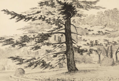 О. А. Харакский парк. 1938. Бумага, тушь. Размер 32х44 см. Хорошее состояние. Следы бытования. 