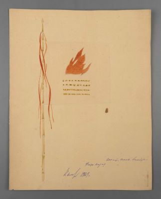 [Ленфильм] Калягин В. Г. Эскиз флага. 1928. Бумага, карандаш, акварель. Размер 25,5х20,5 см. Хор 