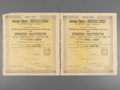 АО "Сибирская слюда" Два временных сведетельства на 10 акций. 1915 г. Размер 23х21 см. Следы 